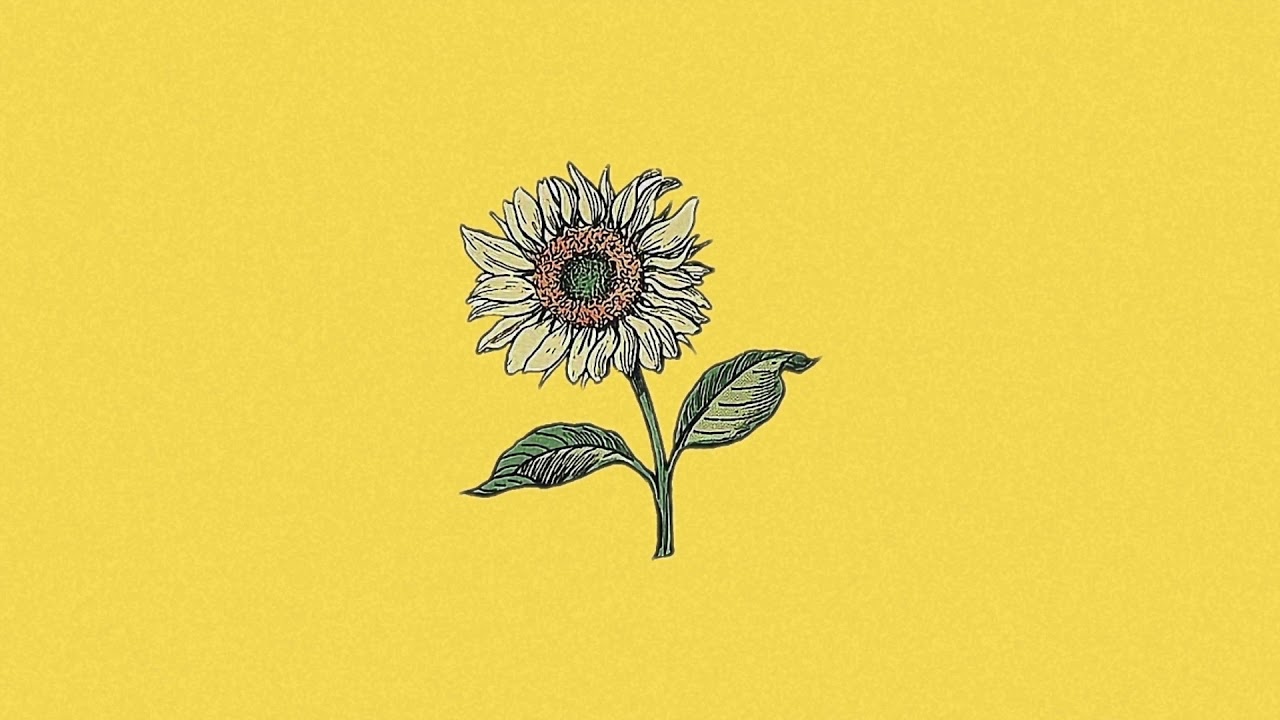 Ver sunshine - chill guitar hip hop beat en YouTube Ver sunshine - chill guitar hip hop beat en YouTube