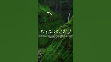تلاوة خاشعة | سورة القصص بصوت القارئ هيثم الدخين