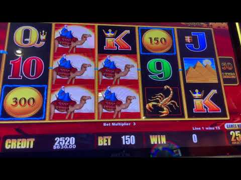 High Stakes - Sahara Gold Lightning Links- High Limit Slot Play