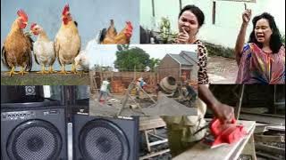 1 Jam Suasana Hari Minggu Pagi (Suara Tukang Bangunan, Speaker Qasidahan, Tetangga Berantem, dll)