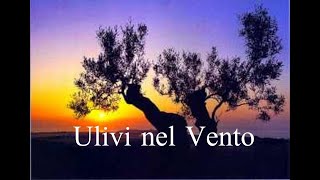 Ulivi nel vento by pierluigi stivala 140 views 1 year ago 3 minutes, 2 seconds