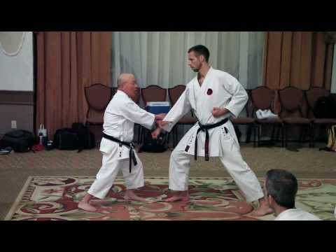 IOGKF Miyagi Chojun