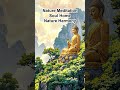 Nature Meditation, Soul Home, Nature Harmony #lofi #buddha #shorts
