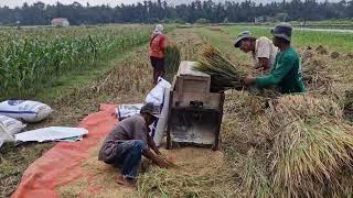 GENIUS HOMEMADE RICE THRESHER MACHINE SPEED UP FARMERS WORK! - Agriculture farming