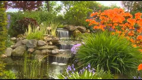 تلاوه طيب من القران الكريم