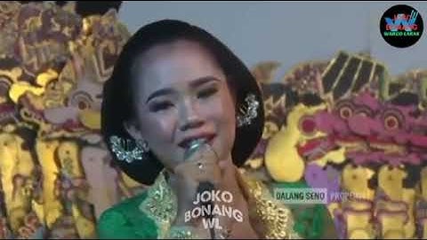 Kumpulan Lagu Wargo Laras Terbaru Full Video