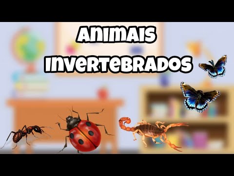 Ciências_ Animais Invertebrados