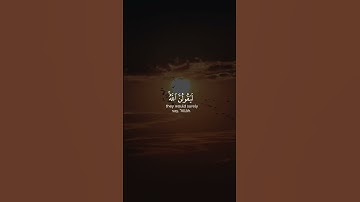 ولئن سألتهم من نزل من السماء ماء | القارئ عبد الرحمن مسعد | قرآن كريم ..♡