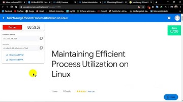 Maintaining Efficient Process Utilization on Windows & Linux II Week 5 II Coursera
