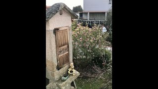 What is a Galician hórreo? | Qué es horreo gallego?