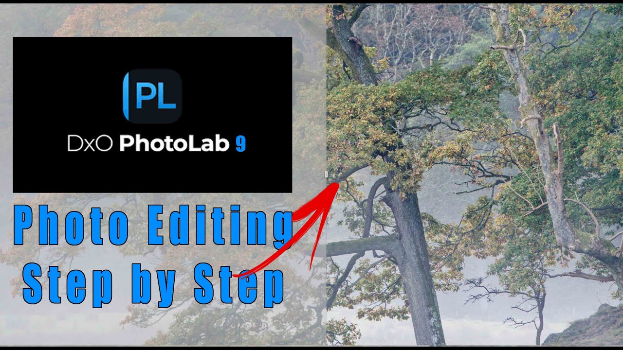 PhotoLab 9 - Landscape Photography - Woodland Edit - YouTube