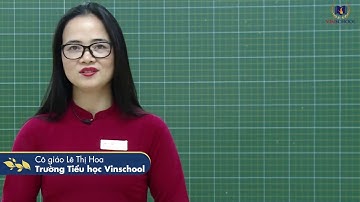 Lớp 4 - Tập làm văn: Luyện tập xây dựng mở bài, kết bài trong bài văn miêu tả cây cối