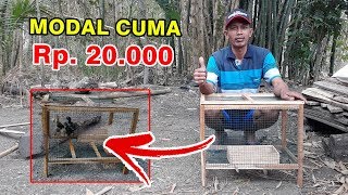 KANDANG AYAM DARI BAMBU | Membuat Kandang Ayam Untuk Pembesaran. 