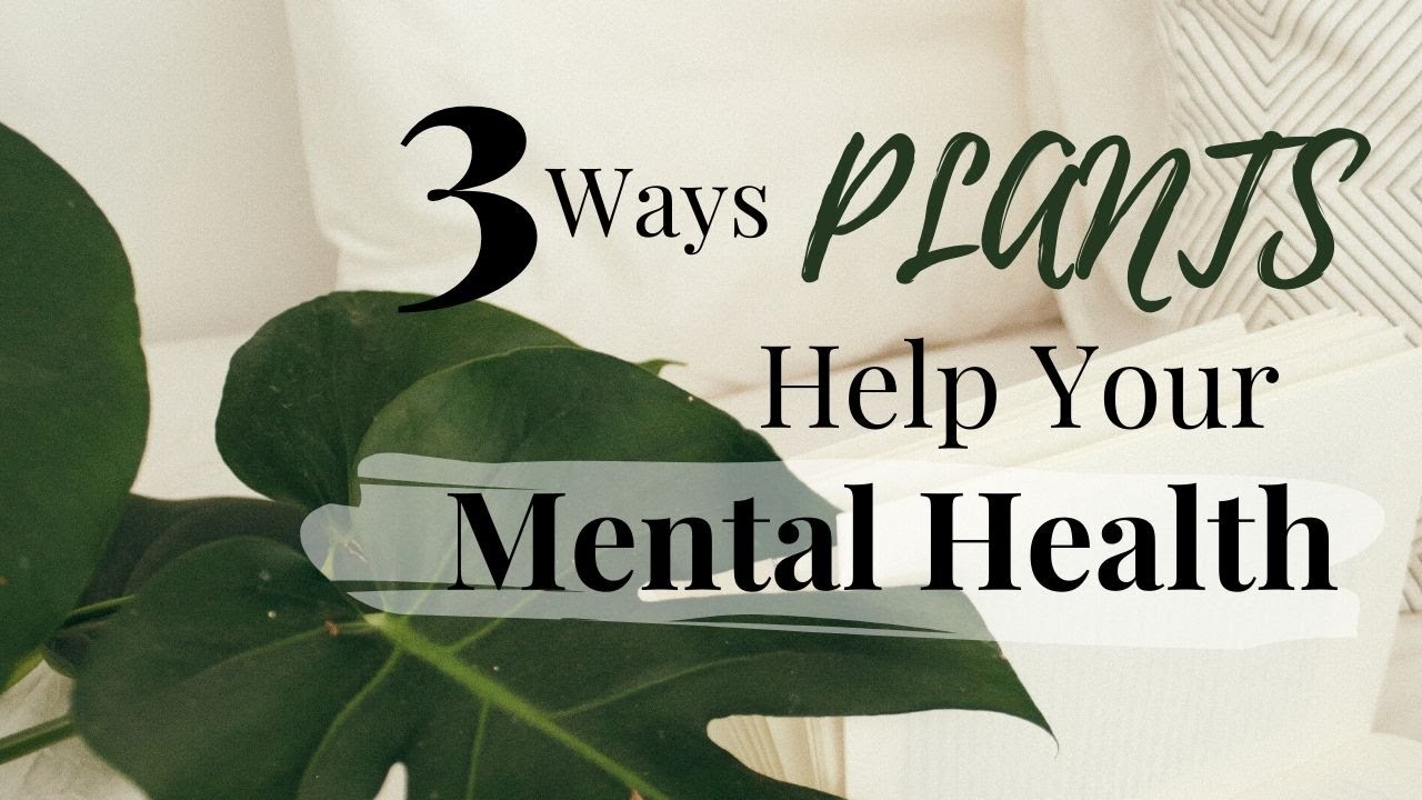3 WAYS PLANTS HELP YOUR MENTAL HEALTH YouTuber COLLABORATION