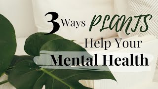 3 WAYS PLANTS HELP YOUR MENTAL HEALTH | YouTuber COLLABORATION | Houseplants &amp; Mental Health