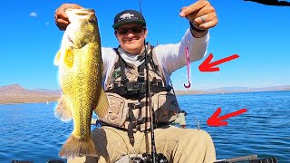 How to fish a Drop Shot for BEGINNERS