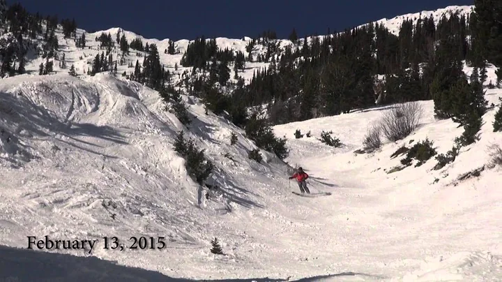 Bridger Bowl Week in Rewind 2/8-2/14