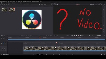 DaVinci Resolve not showing the video on timeline
