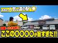 【高知グルメ】四国一小さな町の道の駅がこんなに人気!?年間約20万人以上来店する“道の駅"を堪能しに行ったらこんな名物があったなんて...【高知ランチ】【高知道の駅】【道の駅 田野駅屋 / 田野町】