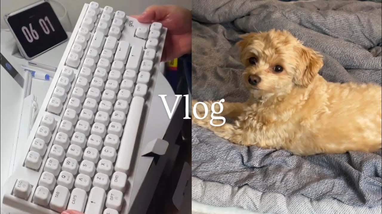 (Vlog)직병행 경시생의 브이로그 ㅣ 새벽4:30기상 ㅣ  일찍 일어나는 새가 인강을 더 듣는다📚 ㅣ 키보드언박싱