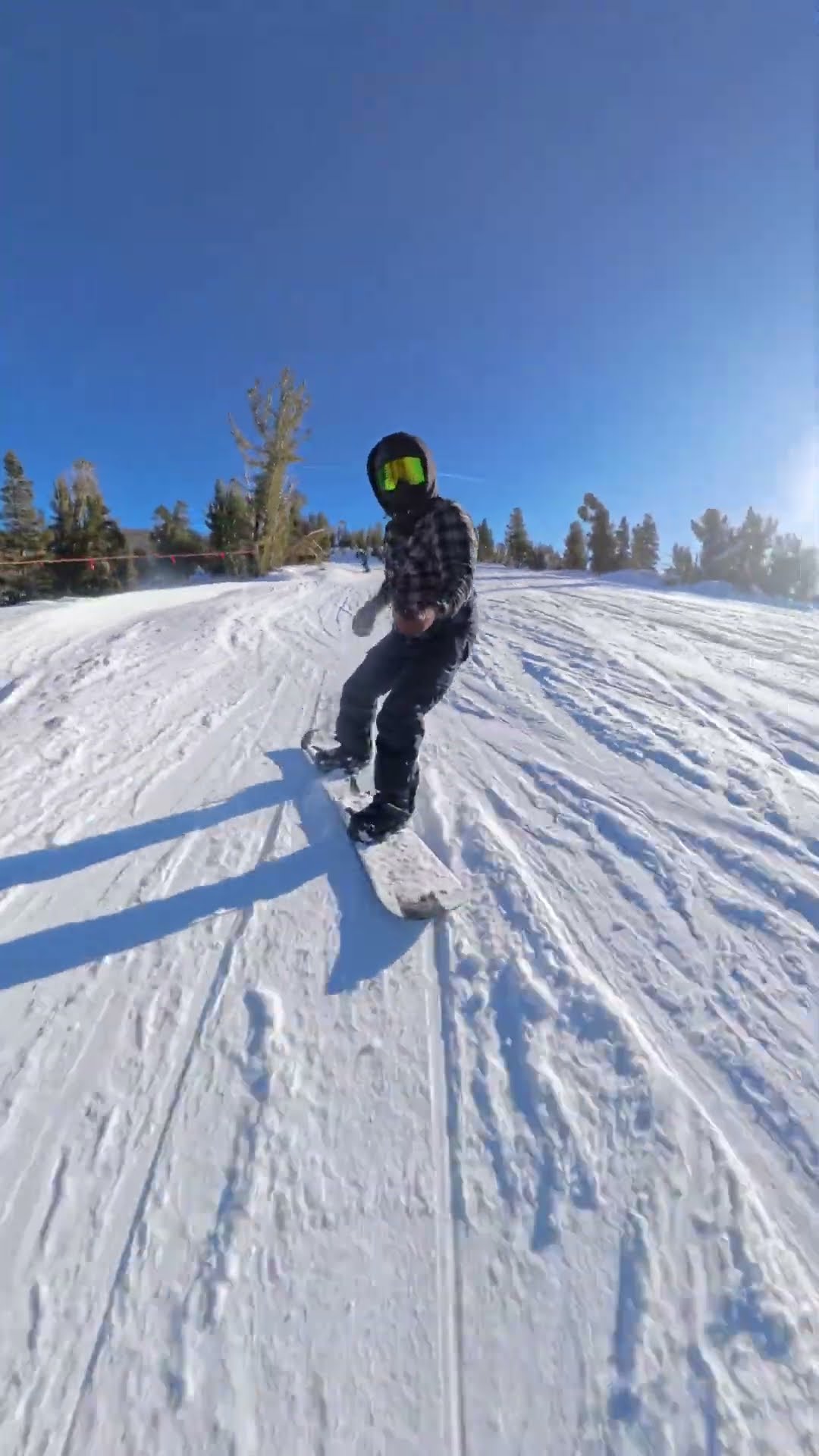 Sprinting Bear Crashes Into Snowboarder || ViralHog