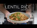 This one pot Lentil Rice Recipe will PAN OUT AMAZING image