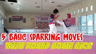 Celebrity 5 BASIC SPARRING MOVE | TAEKWONDO Wealth