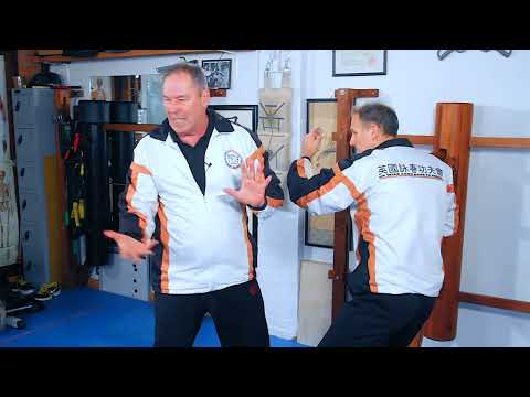 Wing Chun Pak Sau