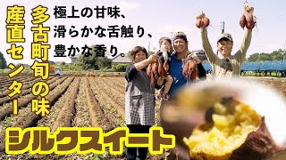 【産地便り】　多古町旬の味産直センター　シルクスイート