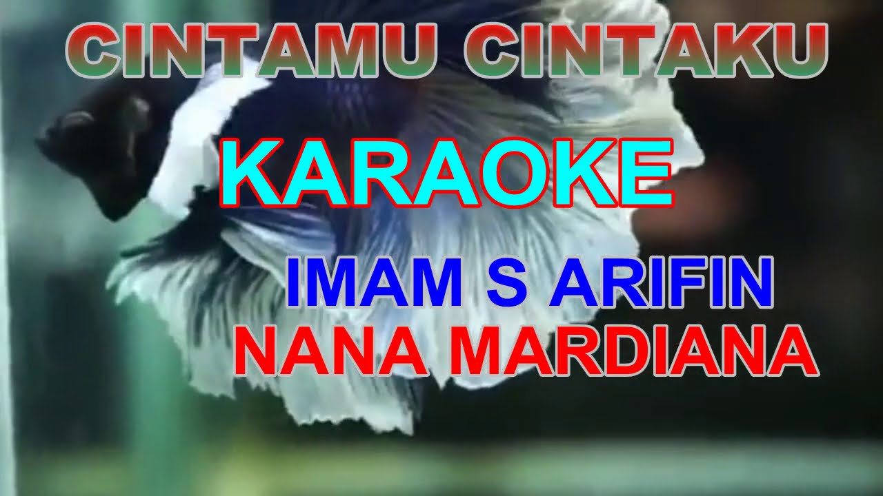 CINTAMU CINTAKU IMAM.S.ARIFIN. Karaoke Duet. (Lirik). YouTube