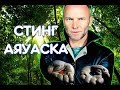 Стинг о своём опыте приёма Аяваски. Полное интервью, рус. озвучка..