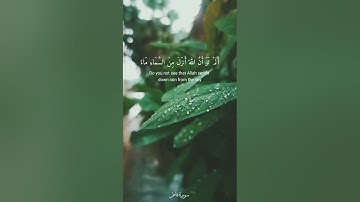  ألم تر أن الله أنزل من السماء ماء فأخرجنا به ثمرات مختلفا ألوانها - سورة فاطر / القارئ ياسر الدوسري