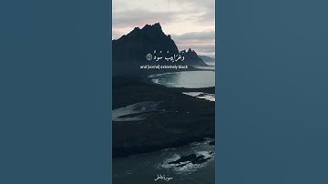  ألم تر أن الله أنزل من السماء ماء فأخرجنا به ثمرات مختلفا ألوانها - سورة فاطر / القارئ ياسر الدوسري