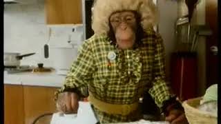 1983 PG Tips Chimps Ironing Hole in One Advert Ada No 3