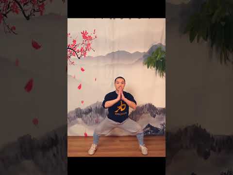 Horse stance (ma bu) · 马步 demonstration