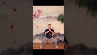 What is Horse Stance (Ma Bu) in Kung Fu? How do you train for Stability, Power and Control?