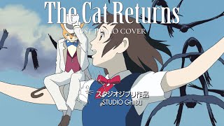 The Cat Returns - Become the Wind (風になる / Kaze ni Naru) | 1 Hour Loop | BGM ✍ 💤 🎧 | Piano Cover