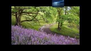 Download Lagu AKB0048 - Shonnichi (Orchestra Ver) - is it possible if JKT48 should make their own orchestra ver? MP3 Download Lagu AKB0048 - Shonnichi (Orchestra Ver) - is it possible if JKT48 should make their own orchestra ver? MP3