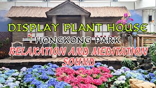 RELAXATION, MEDITATION SOUND with FLOWER VIEWING #plants #flowers