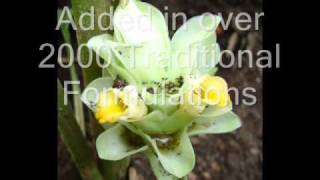 Indigenous Herbs used for Cancerous Wound. Part-1