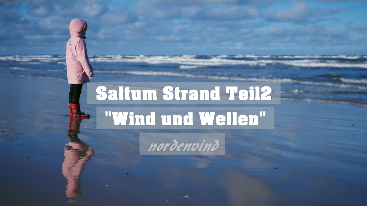 Dänemark #1 I Saltum Strand Teil2 I Jammerbucht I Nordjütland