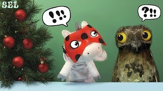 Волшебный Питомец Единорог Песня Леди Баг ЗАГАДКИ Miraculous Ladybug Song Parody Волшебный Питомец Единорог Песня Леди Баг ЗАГАДКИ Miraculous Ladybug Song Parody