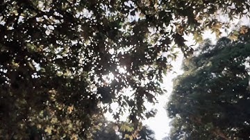 Prenup wedding school project