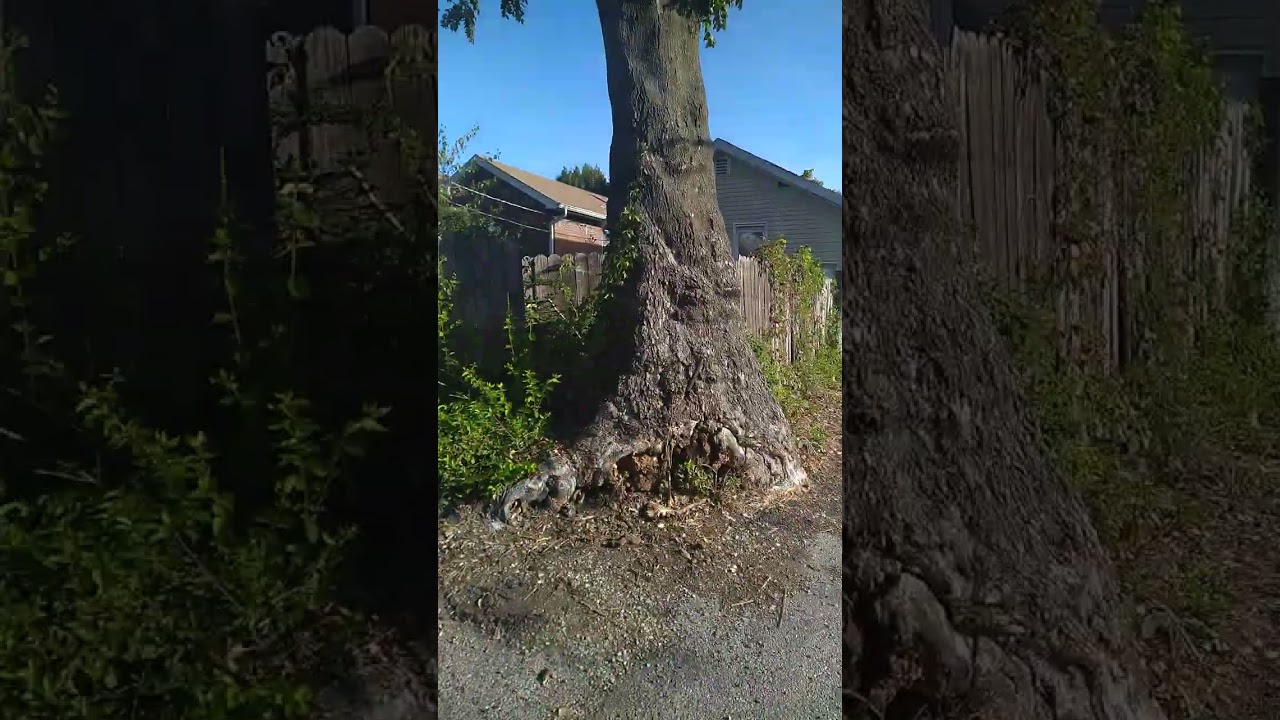 City of St. Louis Northside Dump 