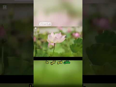 03حكاية ولاد المسائيل فالتسعينات ذكريات وهران حياة مليئة بالموسيقى والضحك جزائر التسعينيات