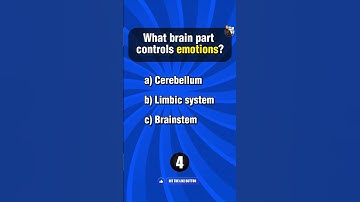 Insane General Knowledge Quiz Part 74 #unbeatablequiz #brainchallenge #testyourmind