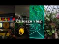 I went to chicago