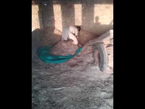 Pervaizlakhvera Gmail Com You Have Any Questions About The Same Size And Color My Phone Pawarholakh 