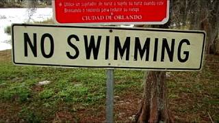 Exploring Florida!
In this weeks episode, our heroes embark on an adventure to find a mythical Floridian creature!
This episode features:
-Myself
-Jake Sidwell
( http://www.youtube.com/cohenism )
-Kasey Gooden
( http://www.youtube.com/okasey )
-Michael Markman
( http://www.youtube.com/mickeleh )
-John Halsey
( http://www.youtube.com/johnshouseoffun )
-Stefan Chin
( http://www.youtube.com/pilocrates )
-Tony Huynh
( http://www.youtube.com/thewinekone )
Camerawork Provided By:
-Myself
To download your favorite Arandavision songs, head over to:
http://www.myspace.com/arandavision Exploring Florida!
