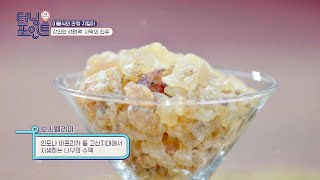 무릎 관절 살리는 사막의 진주 '보스웰리아' 💎 인생토크쇼 터닝포인트(turningpoint) 28회
